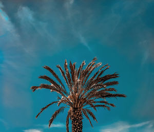 Low angle view of palm tree against blue sky