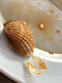 High angle view of dessert in plate on table