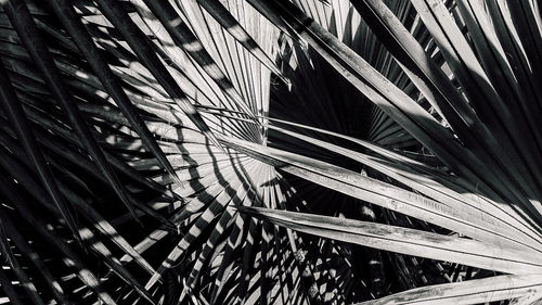 Full frame shot of building