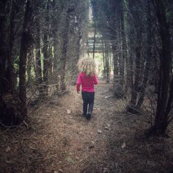 Rear view of man walking in forest