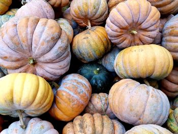 Full frame shot of pumpkins