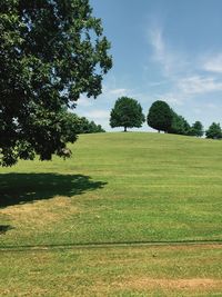 Scenic view of grassy field against sky