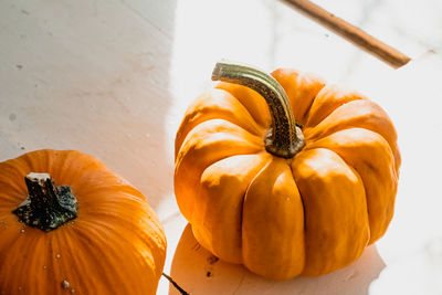 High angle view of pumpkin pumpkins on wood