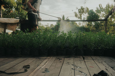 Low section of people standing by plants