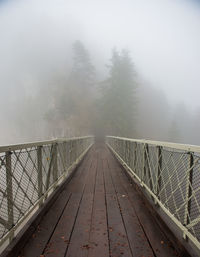 Footbridge amidst trees in forest during winter