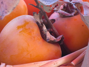 Close-up of pumpkin