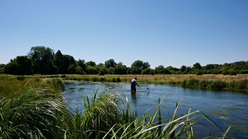 Man cutting riverweed in water against clear blue sky