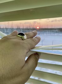 Close-up of hand holding leaf