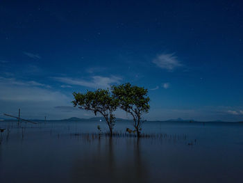 Scenic view of lake against sky at night