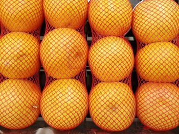 Close-up of oranges in nets