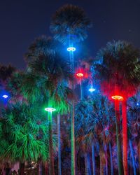 Low angle view of illuminated christmas tree at night