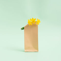 Bouquet of hyacinths flowers in a brown paper bag on a pastel green background. minimalist concept.