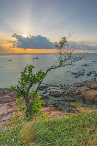 Scenic view of sea against sky during sunset