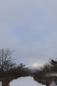 Snow covered land and trees against sky