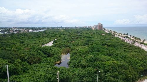 High angle view of trees in front of sea against sky