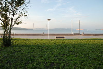 Scenic view of field against sky