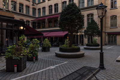 Potted plants on street against buildings in city