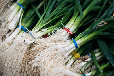 High angle view of vegetables in market