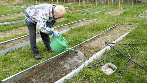 Side view of senior man watering at farm