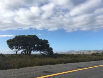 Road by trees against sky