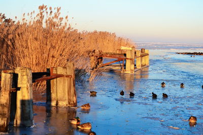 Scenic view of sea against clear sky