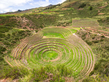 Aerial view of green landscape