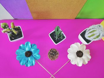 High angle view of pink flowers on table