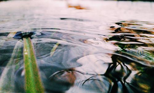 water