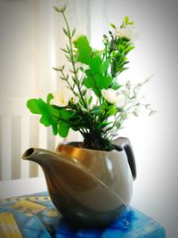 Close-up of flowers in vase