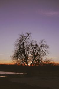 Silhouette bare tree against clear sky at sunset