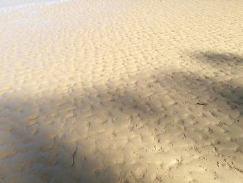 Full frame shot of sand on beach
