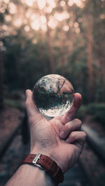 Cropped image of hand holding crystal ball