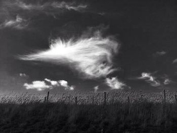 Scenic view of field against cloudy sky