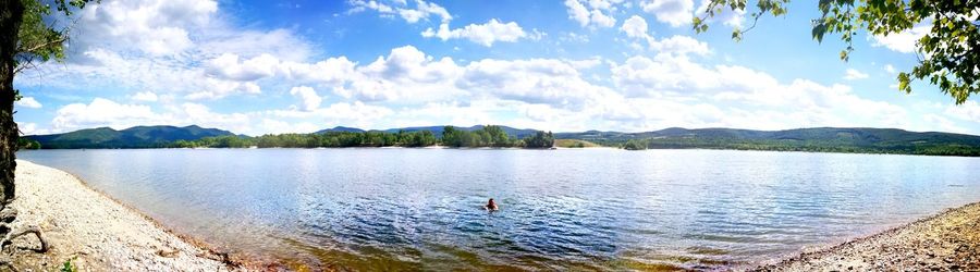 Swans swimming in lake against sky