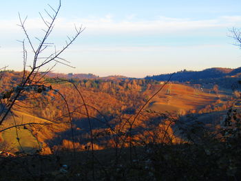 Scenic view of field against sky during sunset