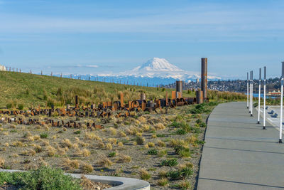 Metal artwork at dune peninsula park in ruston, washington.