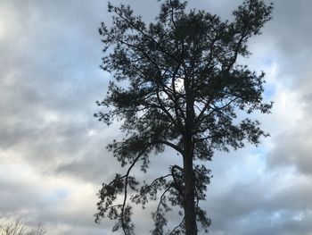 Low angle view of trees against cloudy sky