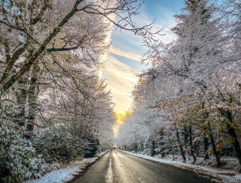 Road amidst frosty trees against sky