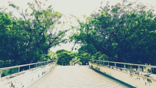 Footbridge in park