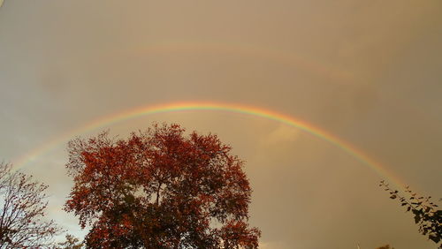 Low angle view of rainbow against sky at sunset
