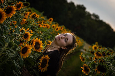 Close-up of sunflower on field