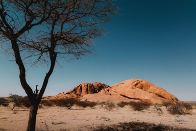 Scenic view of landscape against clear blue sky