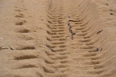 High angle view of a desert