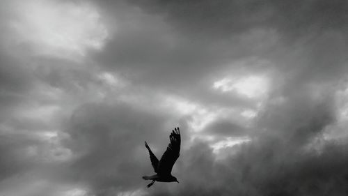 Low angle view of birds flying against cloudy sky