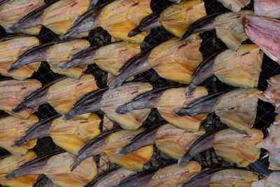 Full frame shot of fish for sale in market