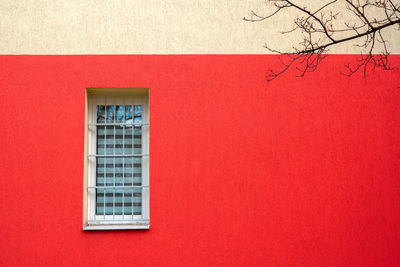 Window on the bright red wall with tree brunch , copy space