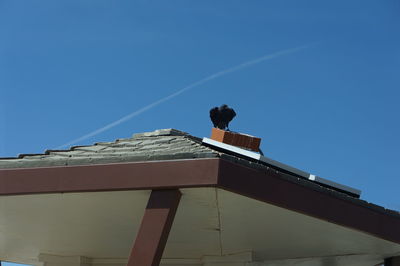 Low angle view of bird perching on roof against clear blue sky