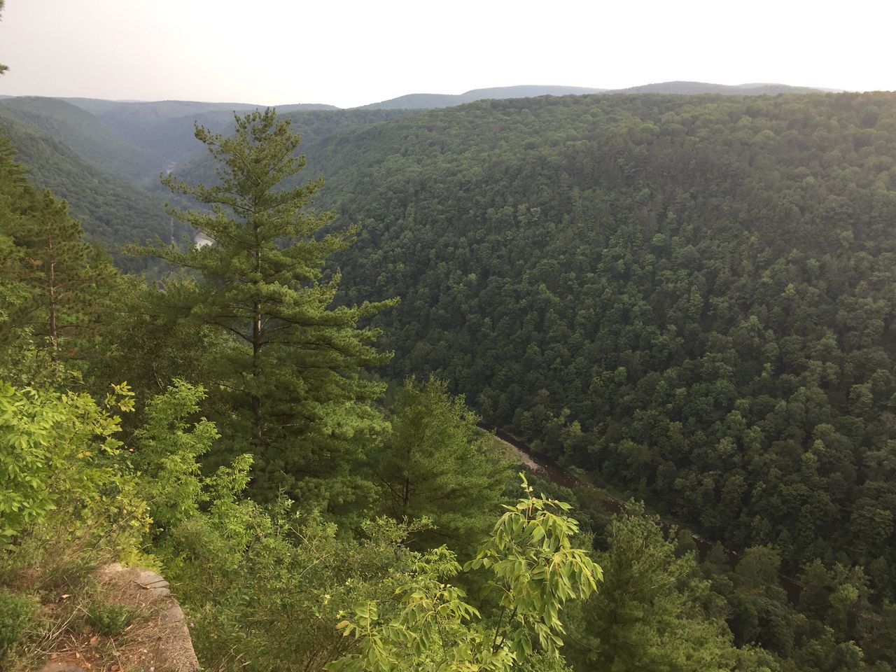 HIGH ANGLE VIEW OF VALLEY