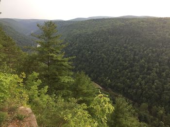 High angle view of landscape