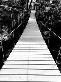 Footbridge amidst trees in forest